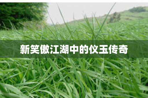 新笑傲江湖中的仪玉传奇