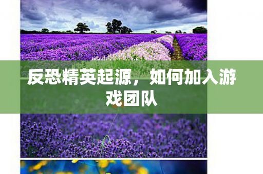 反恐精英起源，如何加入游戏团队