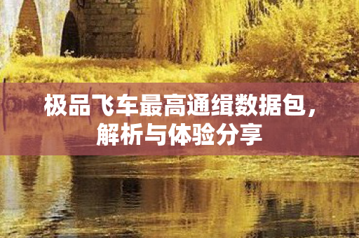 极品飞车最高通缉数据包，解析与体验分享