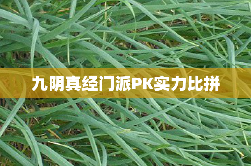 九阴真经门派PK实力比拼