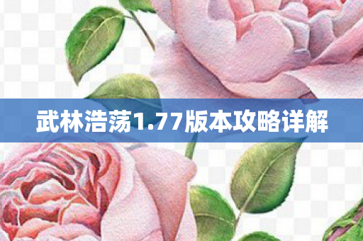 武林浩荡1.77版本攻略详解