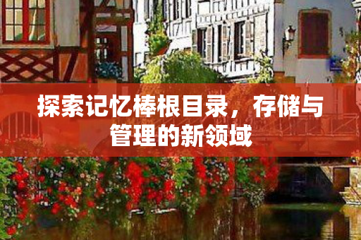 探索记忆棒根目录，存储与管理的新领域