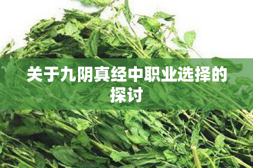 关于九阴真经中职业选择的探讨