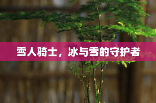 雪人骑士，冰与雪的守护者