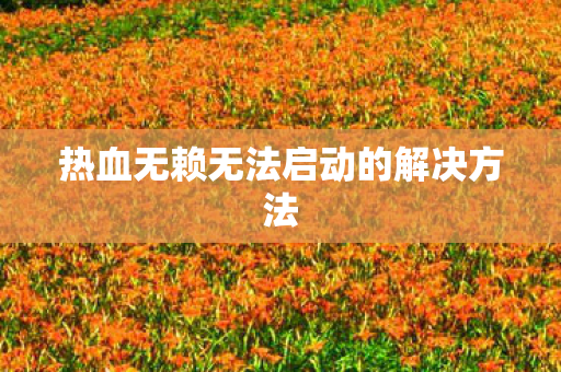 热血无赖无法启动的解决方法