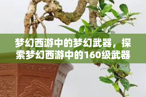 梦幻西游中的梦幻武器，探索梦幻西游中的160级武器
