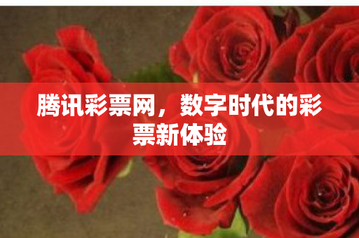 腾讯彩票网,数字时代的彩票新体验 腾讯彩票网,数字时代的彩票新体验