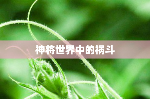 神将世界中的祸斗