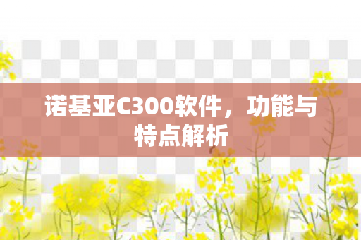 诺基亚C300软件,功能与特点解析 诺基亚C300软件,功能与特点解析