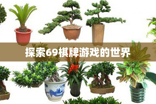 探索69棋牌游戏的世界