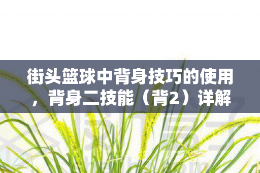 街头篮球中背身技巧的使用,背身二技能(背2)详解 街头篮球中背身技巧的使用,背身二技能(背2)详解