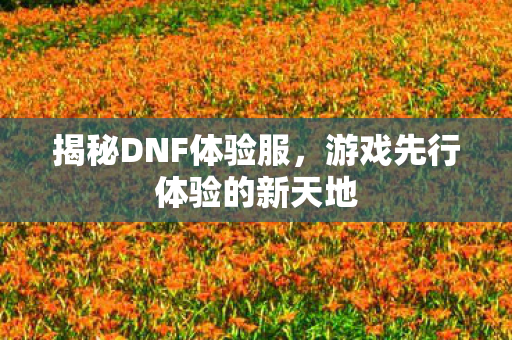 揭秘DNF体验服，游戏先行体验的新天地