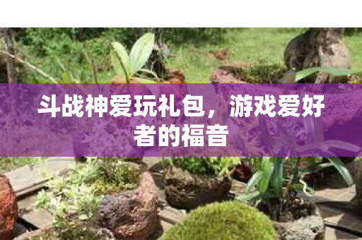 斗战神爱玩礼包，游戏爱好者的福音