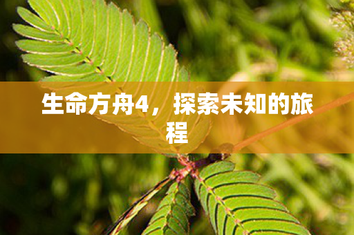生命方舟4，探索未知的旅程