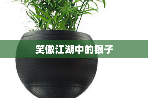 笑傲江湖中的银子