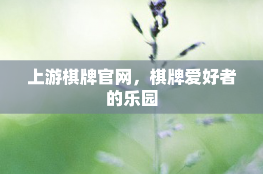 上游棋牌官网，棋牌爱好者的乐园