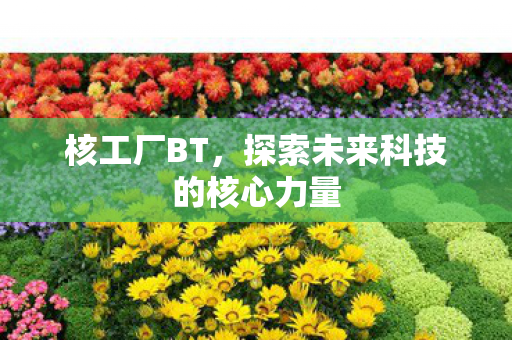 核工厂BT，探索未来科技的核心力量