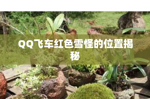 QQ飞车红色雪怪的位置揭秘
