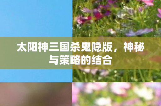 太阳神三国杀鬼隐版，神秘与策略的结合