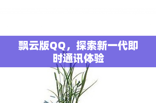 飘云版QQ，探索新一代即时通讯体验