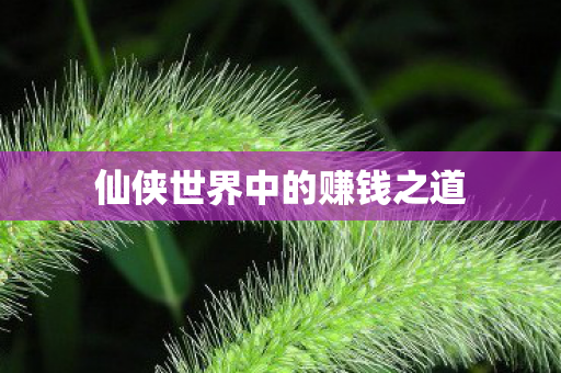 仙侠世界中的赚钱之道