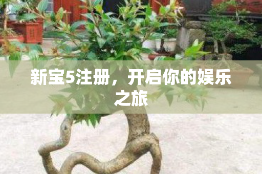 新宝5注册，开启你的娱乐之旅