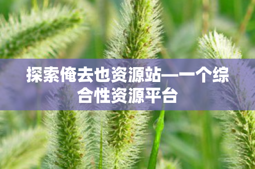 探索俺去也资源站—一个综合性资源平台