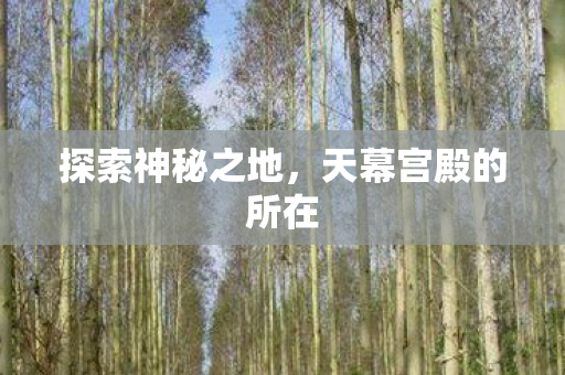 探索神秘之地，天幕宫殿的所在