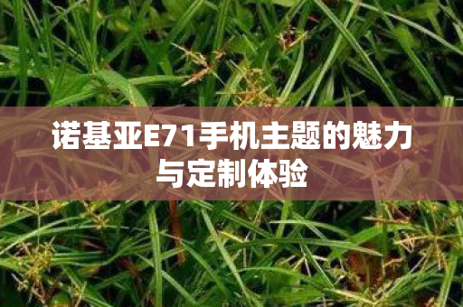 诺基亚E71手机主题的魅力与定制体验