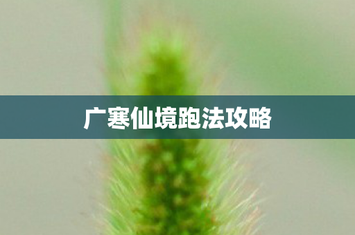 广寒仙境跑法攻略