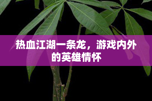 热血江湖一条龙,游戏内外的英雄情怀 热血江湖一条龙,游戏内外的英雄情怀