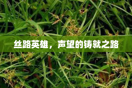 丝路英雄,声望的铸就之路 丝路英雄,声望的铸就之路