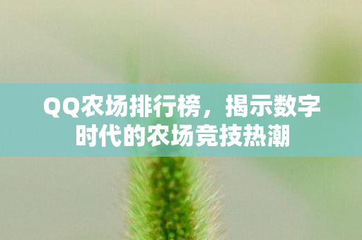 QQ农场排行榜，揭示数字时代的农场竞技热潮