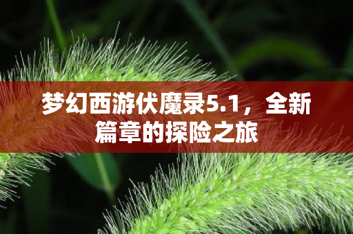 梦幻西游伏魔录5.1，全新篇章的探险之旅