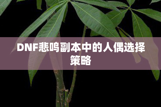 DNF悲鸣副本中的人偶选择策略 DNF悲鸣副本中的人偶选择策略