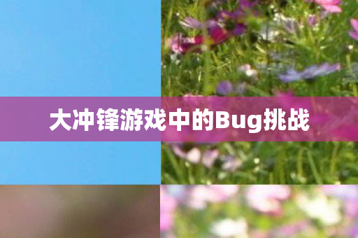 大冲锋游戏中的Bug挑战