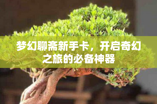 梦幻聊斋新手卡，开启奇幻之旅的必备神器