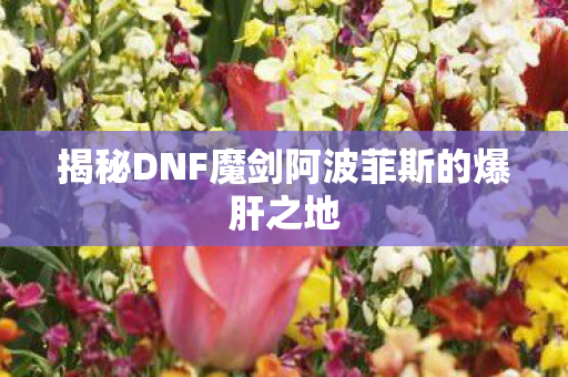 揭秘DNF魔剑阿波菲斯的爆肝之地