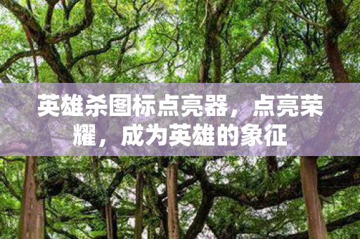 英雄杀图标点亮器，点亮荣耀，成为英雄的象征