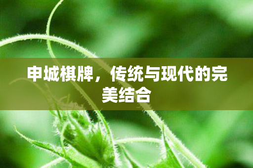 申城棋牌,传统与现代的完美结合 申城棋牌,传统与现代的完美结合