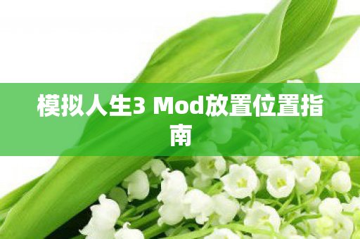 模拟人生3 Mod放置位置指南