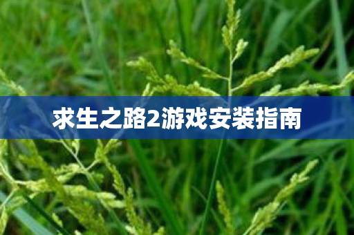 求生之路2游戏安装指南