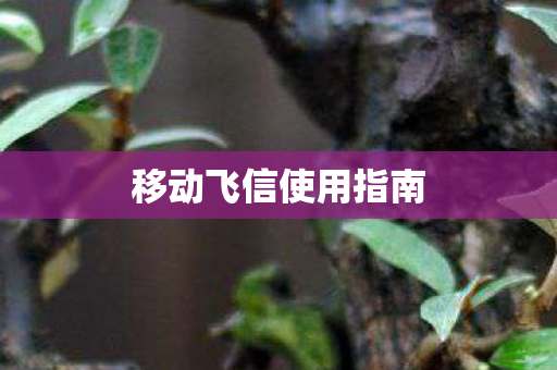 移动飞信使用指南 移动飞信使用指南