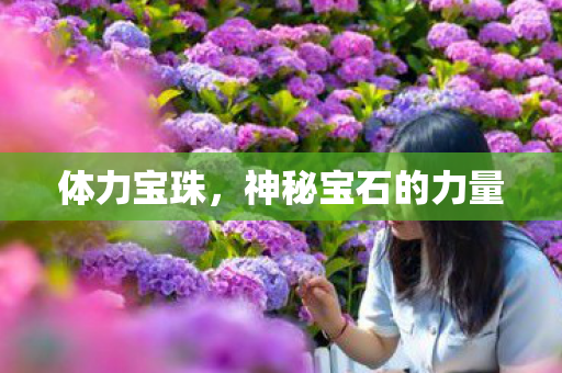 体力宝珠,神秘宝石的力量 体力宝珠,神秘宝石的力量