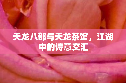 天龙八部与天龙茶馆，江湖中的诗意交汇