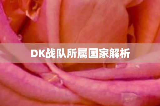 DK战队所属国家解析