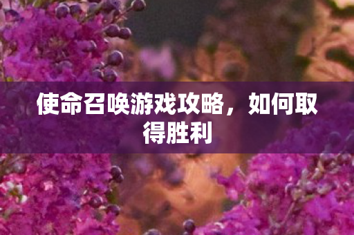 使命召唤游戏攻略，如何取得胜利