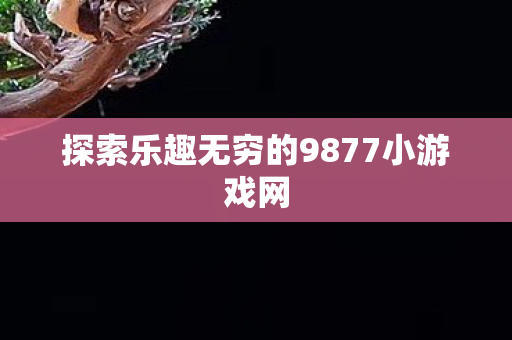 探索乐趣无穷的9877小游戏网