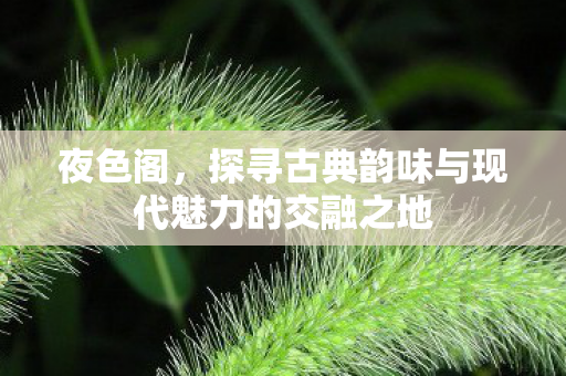 夜色阁,探寻古典韵味与现代魅力的交融之地 夜色阁,探寻古典韵味与现代魅力的交融之地