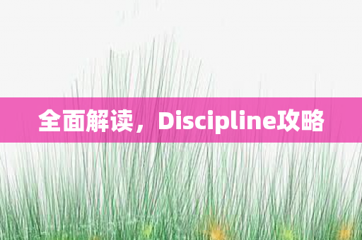 全面解读,Discipline攻略 全面解读,Discipline攻略